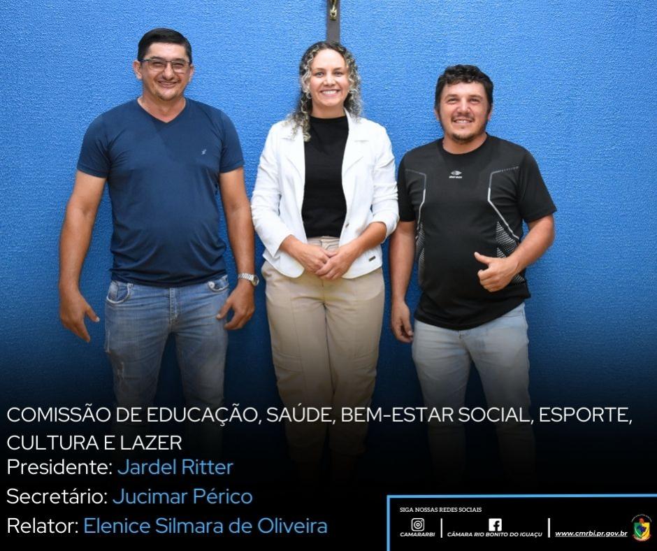 Comissão de Educação, Saúde, Bem-Estar Social, Esporte, Cultura e Lazer